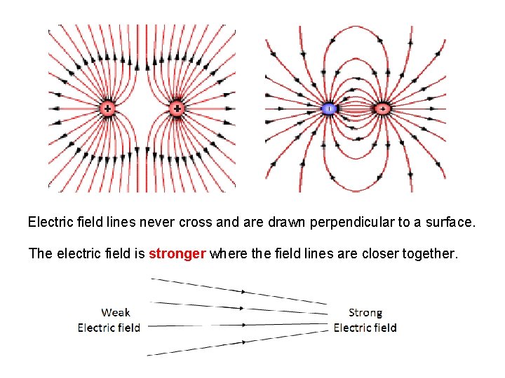 Electric field lines never cross and are drawn perpendicular to a surface. The electric