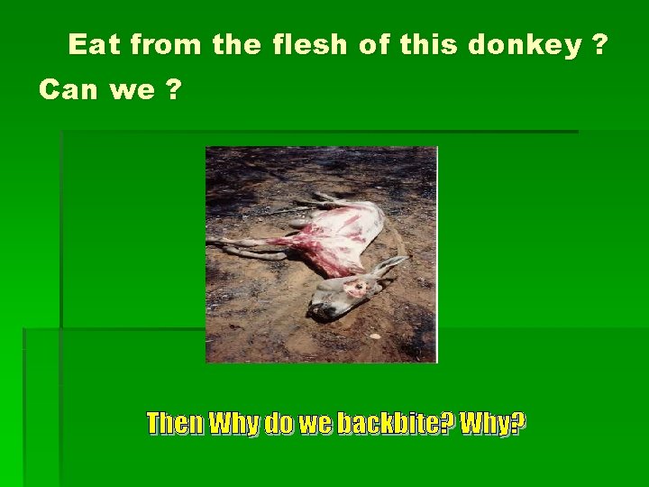 Eat from the flesh of this donkey ? Can we ? 