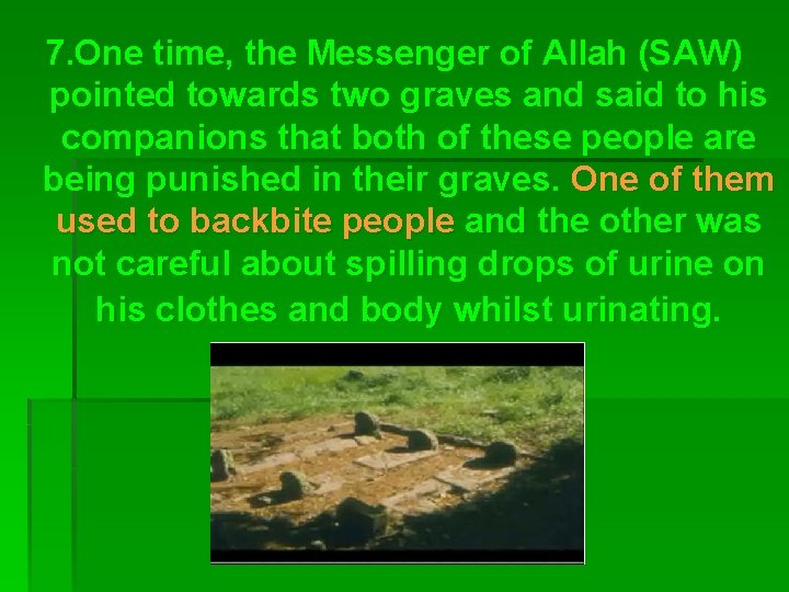 7. One time, the Messenger of Allah (SAW) pointed towards two graves and said