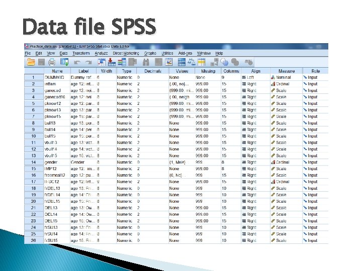 Data file SPSS 