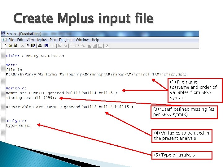 Create Mplus input file (1) File name (2) Name and order of variables from