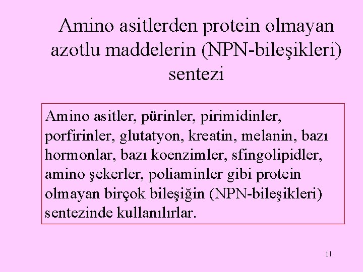 Amino asitlerden protein olmayan azotlu maddelerin (NPN-bileşikleri) sentezi Amino asitler, pürinler, pirimidinler, porfirinler, glutatyon,
