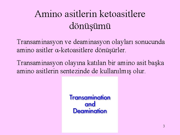 Amino asitlerin ketoasitlere dönüşümü Transaminasyon ve deaminasyon olayları sonucunda amino asitler α-ketoasitlere dönüşürler. Transaminasyon