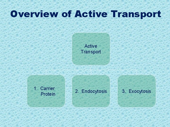 Overview of Active Transport 1. Carrier Protein 2. Endocytosis 3. Exocytosis Overview of Active Transport 1. Carrier Protein 2. Endocytosis 3. Exocytosis