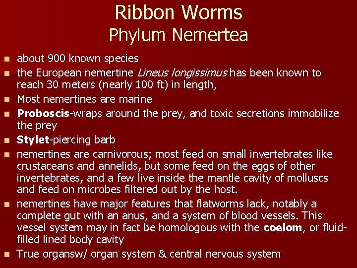 Ribbon Worms Phylum Nemertea n n n n about 900 known species the European