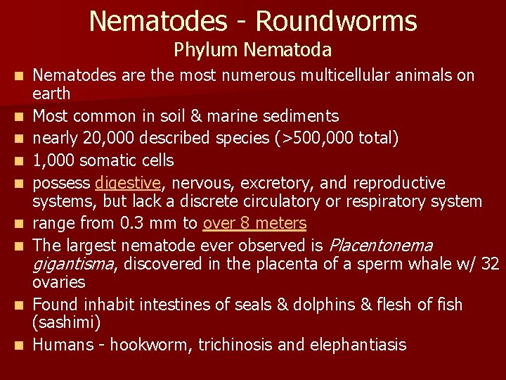 Nematodes - Roundworms Phylum Nematoda n n n n n Nematodes are the most