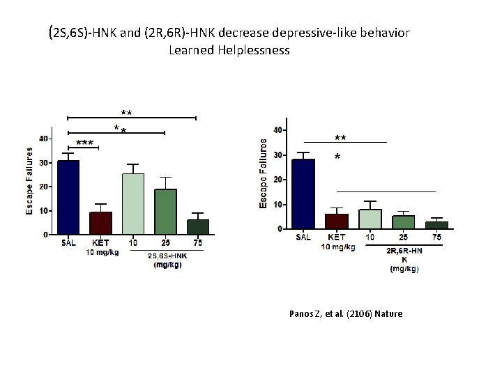 (2 S, 6 S)-HNK and (2 R, 6 R)-HNK decrease depressive-like behavior Learned Helplessness