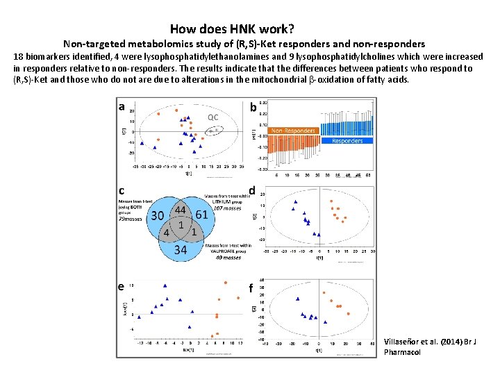 How does HNK work? Non-targeted metabolomics study of (R, S)-Ket responders and non-responders 18