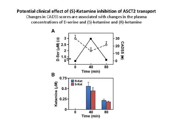 Potential clinical effect of (S)-Ketamine inhibition of ASCT 2 transport Changes in CADSS scores