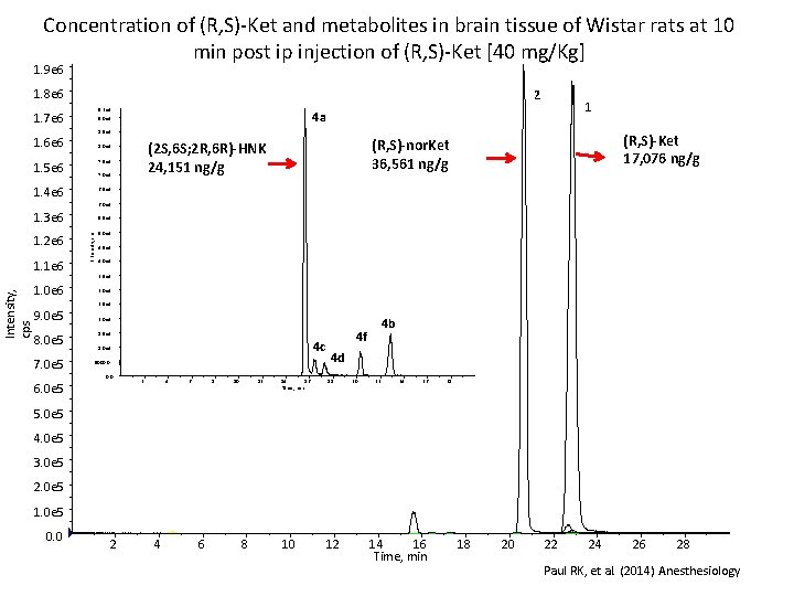 Concentration of (R, S)-Ket and metabolites in brain tissue of Wistar rats at 10