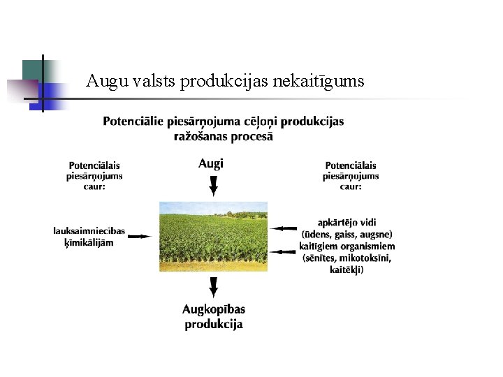 Augu valsts produkcijas nekaitīgums 