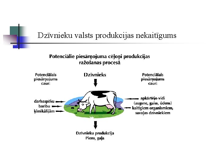 Dzīvnieku valsts produkcijas nekaitīgums 