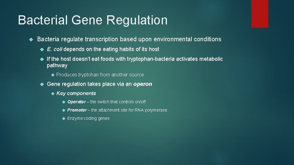 Bacterial Gene Regulation Bacteria regulate transcription based upon environmental conditions E. coli depends on