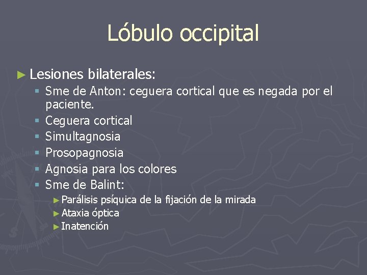 Lóbulo occipital ► Lesiones bilaterales: § Sme de Anton: ceguera cortical que es negada