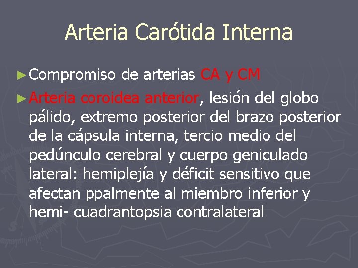 Arteria Carótida Interna ► Compromiso de arterias CA y CM ► Arteria coroidea anterior,