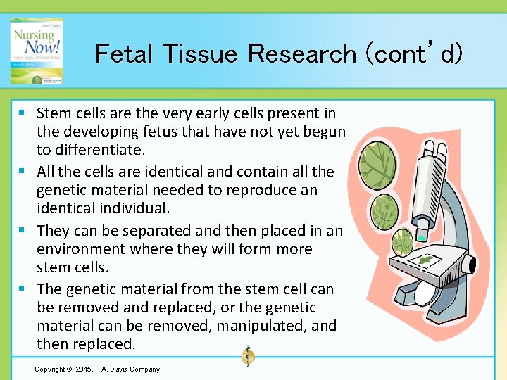 Fetal Tissue Research (cont’d) § Stem cells are the very early cells present in