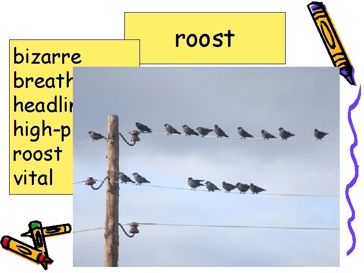 bizarre breathtaking headline high-pitched roost vital roost A bar or pole on which birds