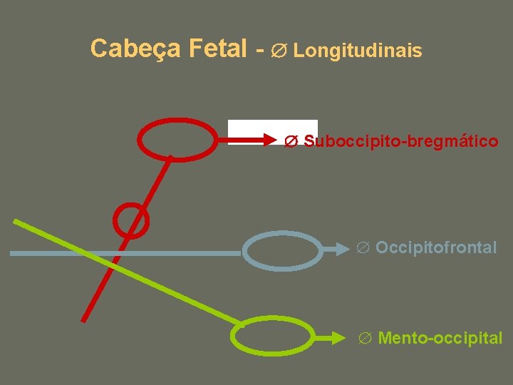 Cabeça Fetal - Longitudinais Suboccipito-bregmático Occipitofrontal Mento-occipital 