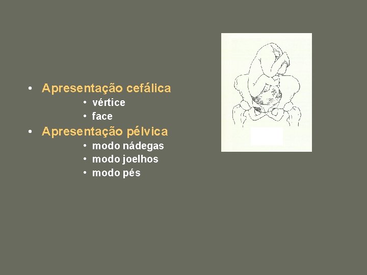  • Apresentação cefálica • vértice • face • Apresentação pélvica • • •
