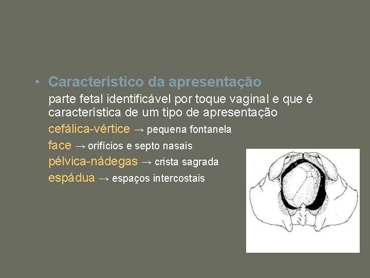  • Característico da apresentação parte fetal identificável por toque vaginal e que é