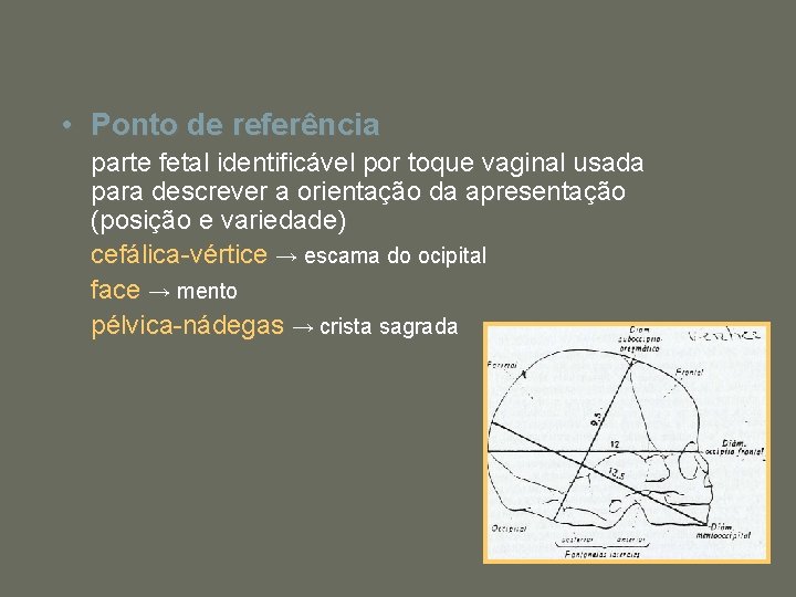  • Ponto de referência parte fetal identificável por toque vaginal usada para descrever