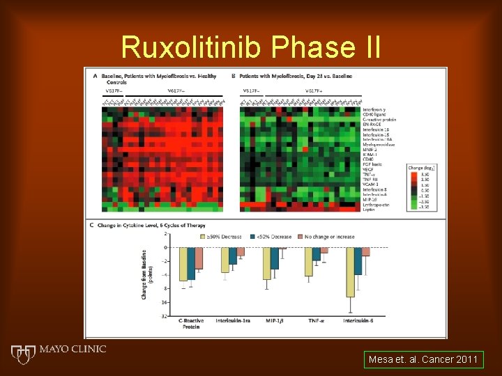 Ruxolitinib Phase II Mesa et. al. Cancer 2011 