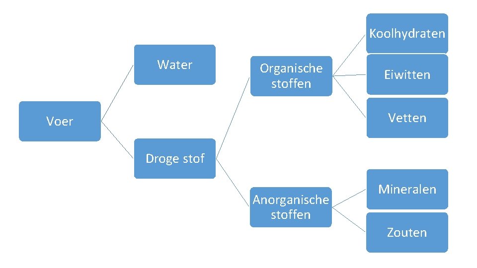 Koolhydraten Water Organische stoffen Eiwitten Vetten Voer Droge stof Anorganische stoffen Mineralen Zouten 