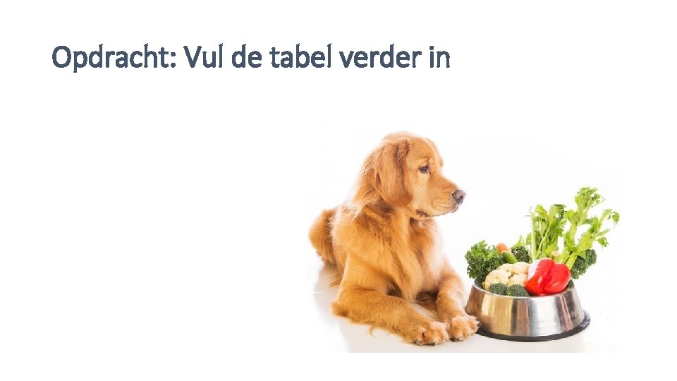 Opdracht: Vul de tabel verder in 