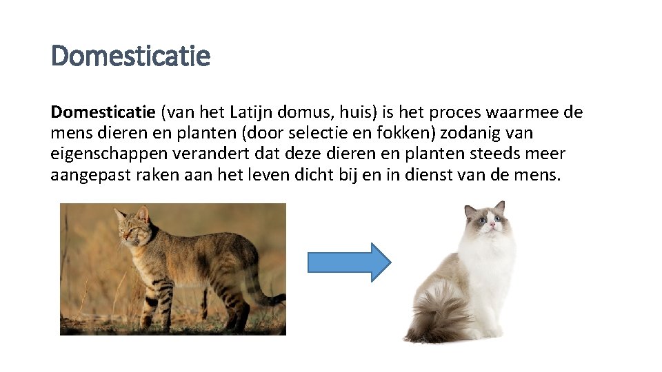 Domesticatie (van het Latijn domus, huis) is het proces waarmee de mens dieren en