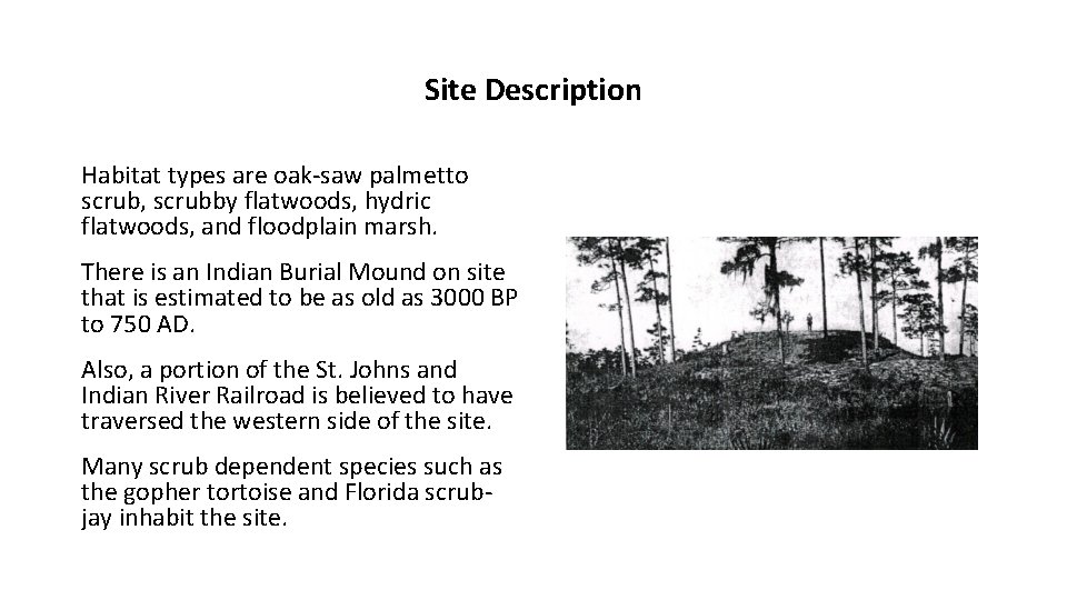 Site Description Habitat types are oak-saw palmetto scrub, scrubby flatwoods, hydric flatwoods, and floodplain