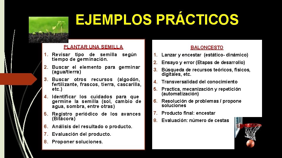 EJEMPLOS PRÁCTICOS PLANTAR UNA SEMILLA 1. Revisar tipo de semilla según tiempo de germinación.