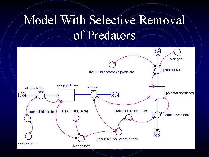 Model With Selective Removal of Predators 