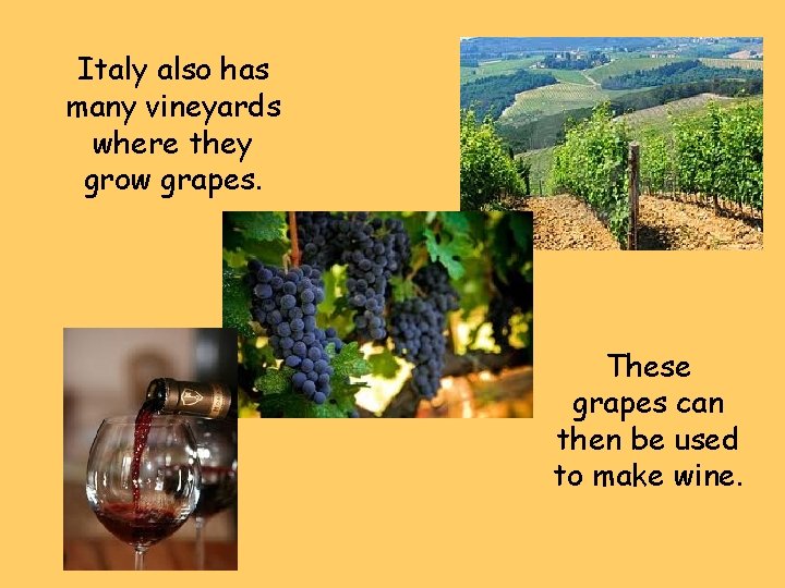 Italy also has many vineyards where they grow grapes. These grapes can then be