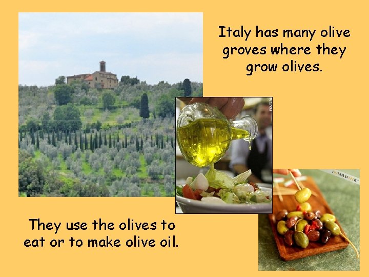 Italy has many olive groves where they grow olives. They use the olives to