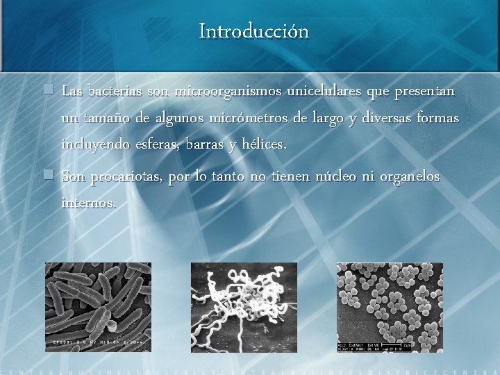 Introducción n Las bacterias son microorganismos unicelulares que presentan un tamaño de algunos micrómetros