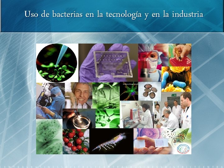 Uso de bacterias en la tecnología y en la industria 