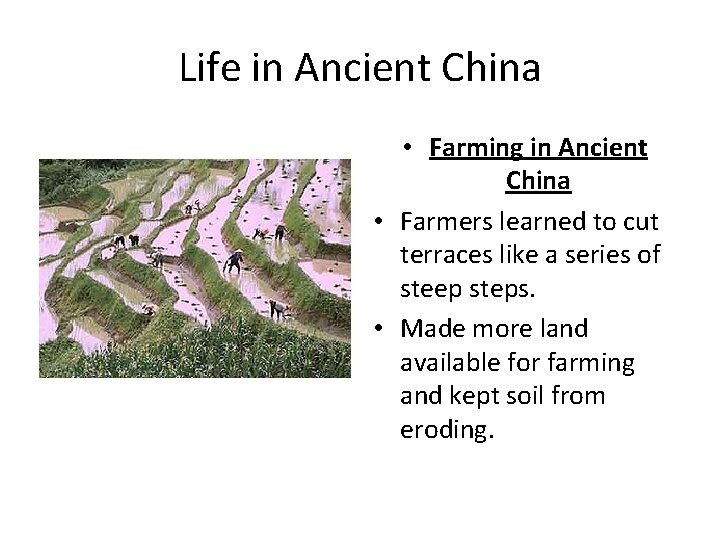 Life in Ancient China • Farming in Ancient China • Farmers learned to cut