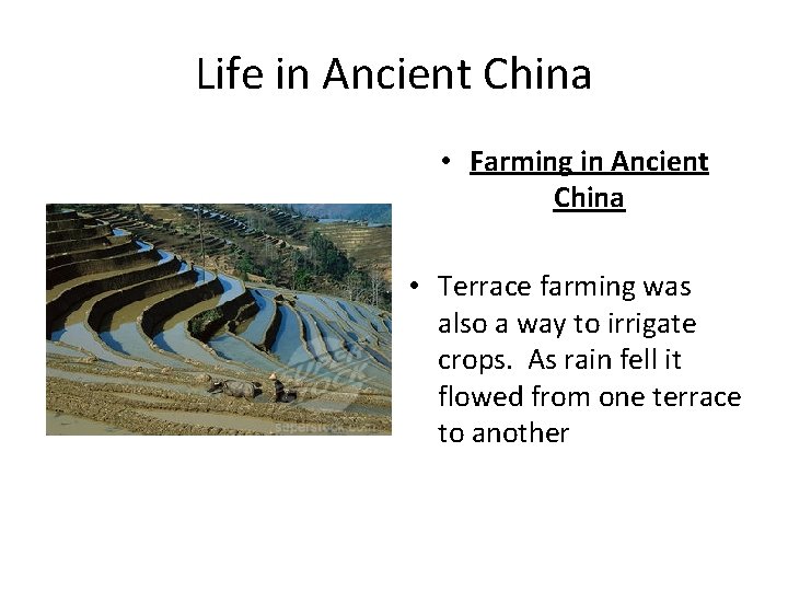 Life in Ancient China • Farming in Ancient China • Terrace farming was also