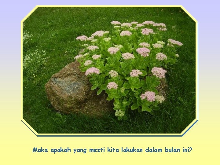 Maka apakah yang mesti kita lakukan dalam bulan ini? 