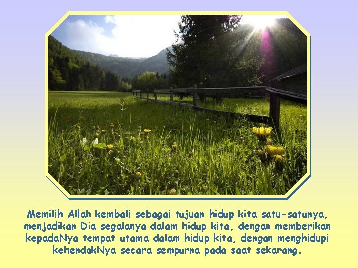 Memilih Allah kembali sebagai tujuan hidup kita satu-satunya, menjadikan Dia segalanya dalam hidup kita,