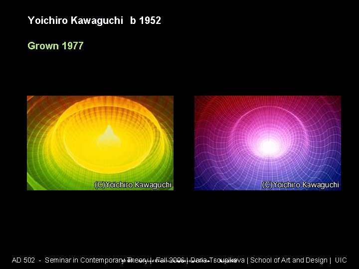 Yoichiro Kawaguchi b 1952 Grown 1977 AD 508 - Advanced Electronic Visualization and Critique