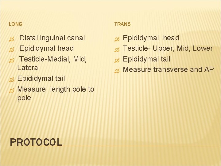 LONG Distal inguinal canal Epididymal head Testicle-Medial, Mid, Lateral Epididymal tail Measure length pole