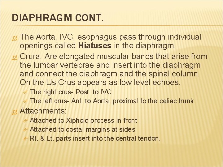 DIAPHRAGM CONT. The Aorta, IVC, esophagus pass through individual openings called Hiatuses in the
