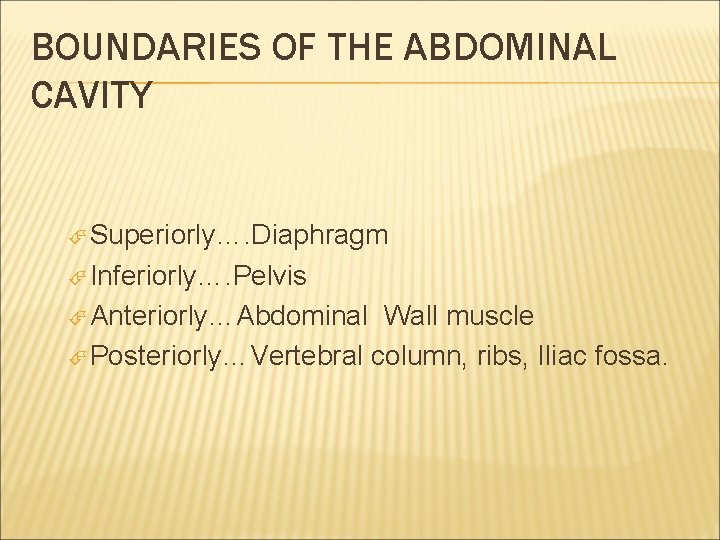 BOUNDARIES OF THE ABDOMINAL CAVITY Superiorly…. Diaphragm Inferiorly…. Pelvis Anteriorly…Abdominal Wall muscle Posteriorly…Vertebral column,