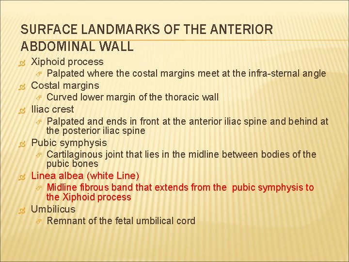 SURFACE LANDMARKS OF THE ANTERIOR ABDOMINAL WALL Xiphoid process Palpated where the costal margins