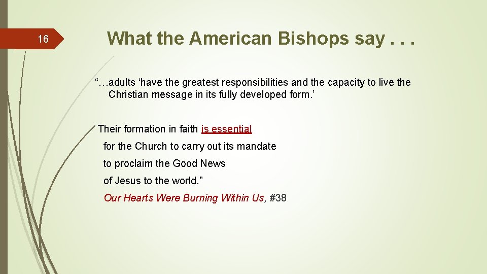 16 What the American Bishops say. . . “…adults ‘have the greatest responsibilities and