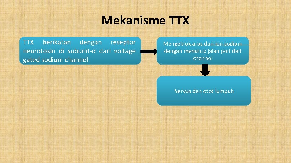 Mekanisme TTX berikatan dengan reseptor neurotoxin di subunit-α dari voltage gated sodium channel Mengeblok