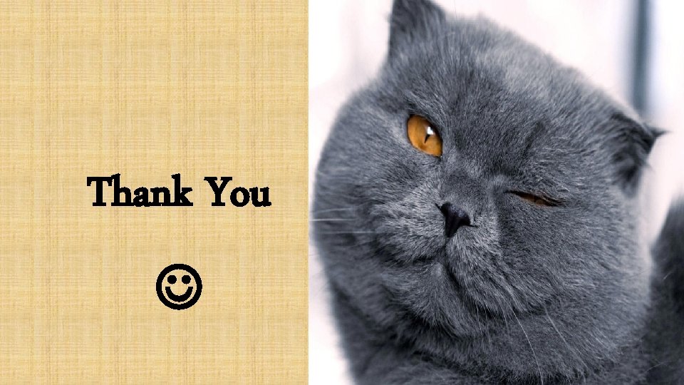 Thank You 