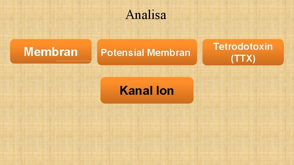 Analisa Membran Potensial Membran Kanal Ion Tetrodotoxin (TTX) 