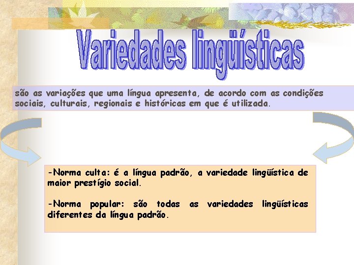 são as variações que uma língua apresenta, de acordo com as condições sociais, culturais,